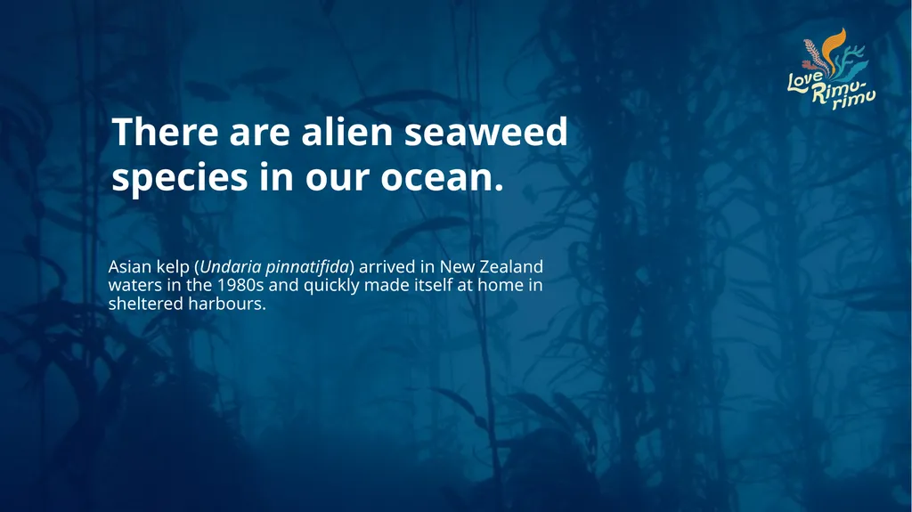 Rimurimu Fun Facts There is more algae than plants - slide 21 of 45