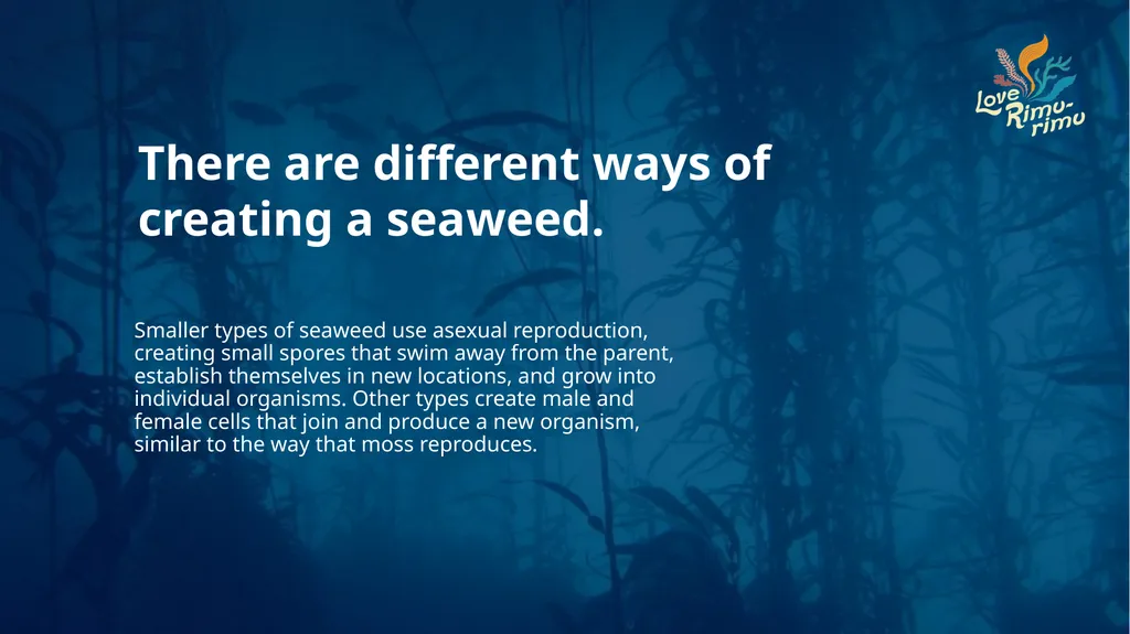 Rimurimu Fun Facts There is more algae than plants - slide 38 of 45