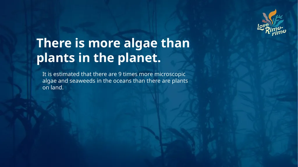 Rimurimu Fun Facts There is more algae than plants - slide 2 of 45
