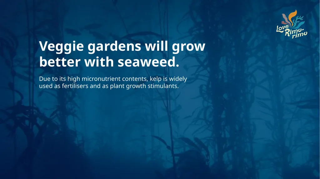 Rimurimu Fun Facts There is more algae than plants - slide 7 of 45