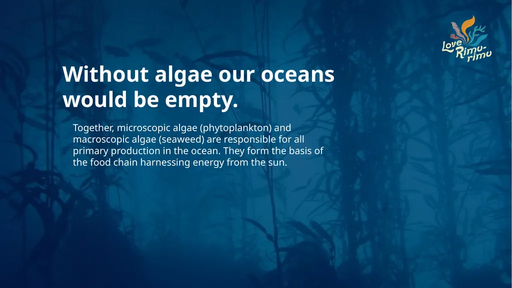 Rimurimu Fun Facts There is more algae than plants - slide 3 of 45