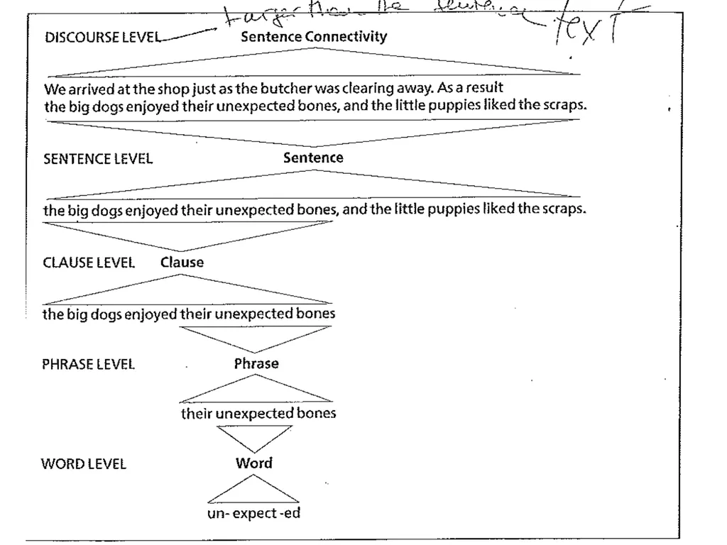 1 2 Phrases are larger structural units that come
