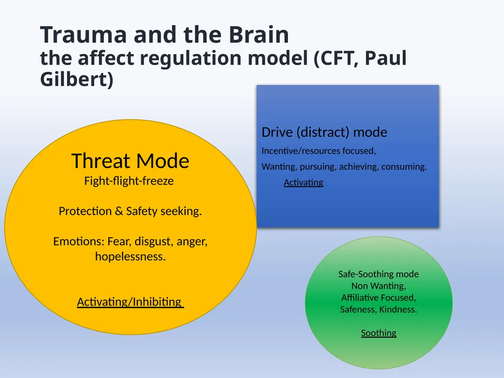 Working with Trauma How to understand it Dr Adam - slide 15 of 21