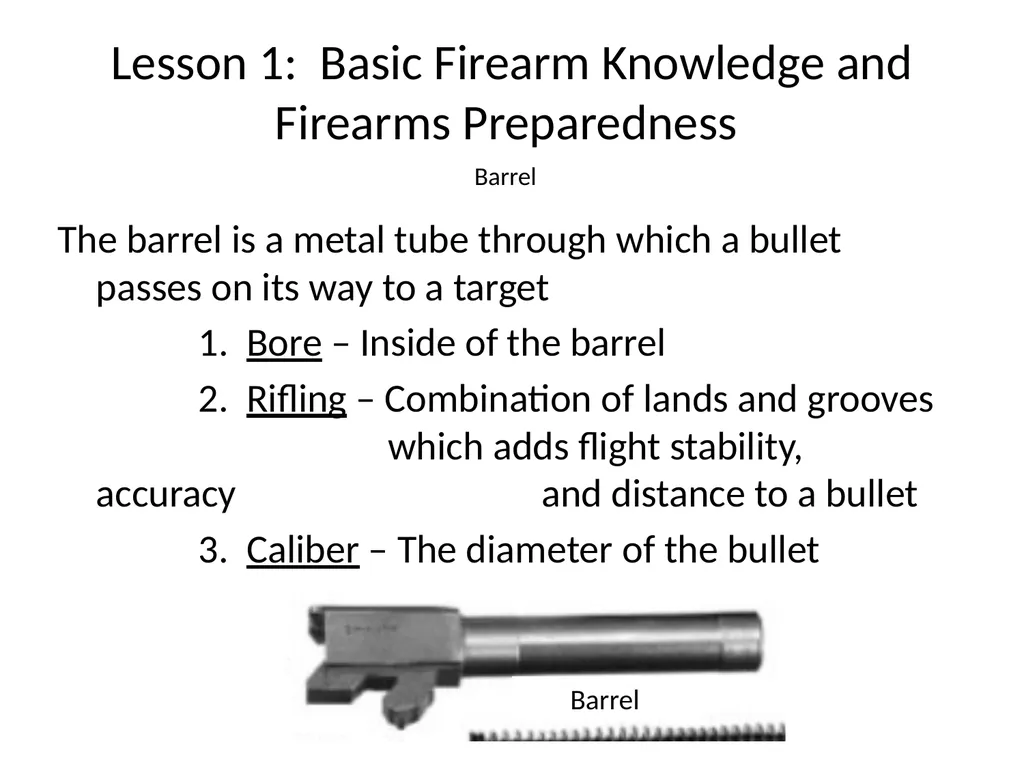 Nebraska State Patrol Concealed Handgun Permit - slide 17 of 191