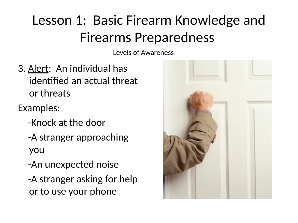 Nebraska State Patrol Concealed Handgun Permit - slide 8 of 191