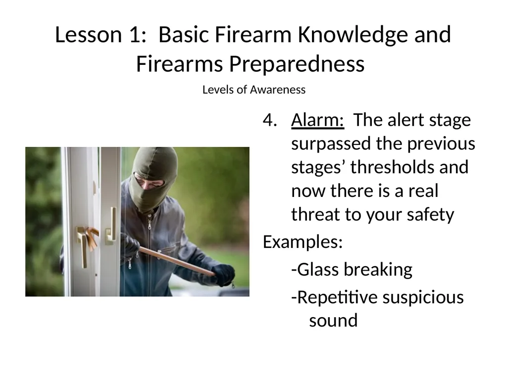 Nebraska State Patrol Concealed Handgun Permit - slide 9 of 191
