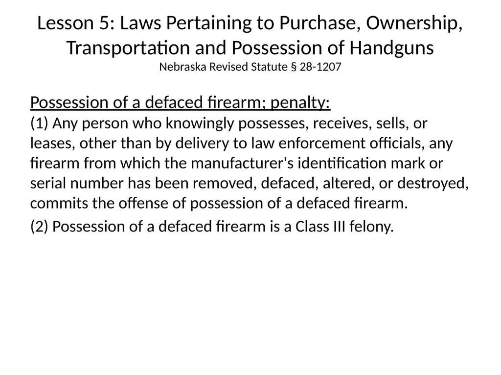 Nebraska State Patrol Concealed Handgun Permit - slide 107 of 191