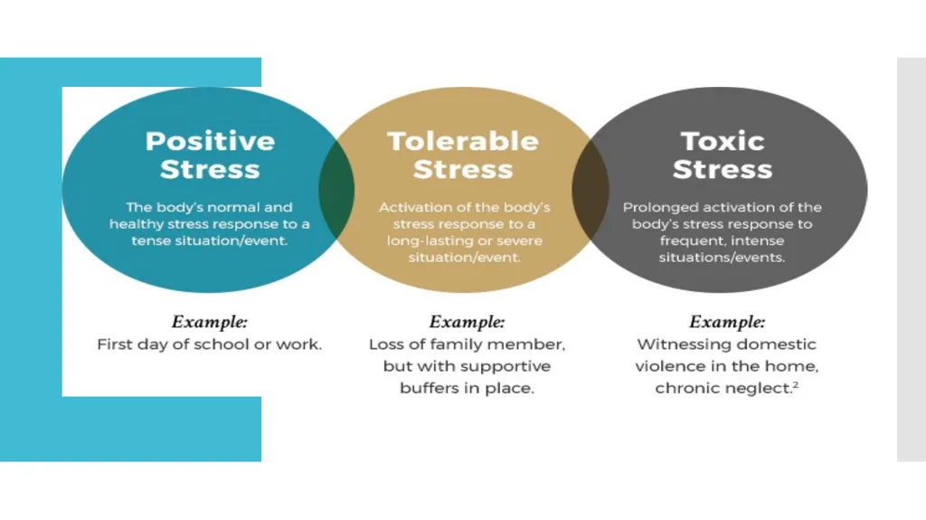 Three Factors That Influence Early Childhood - slide 3 of 5