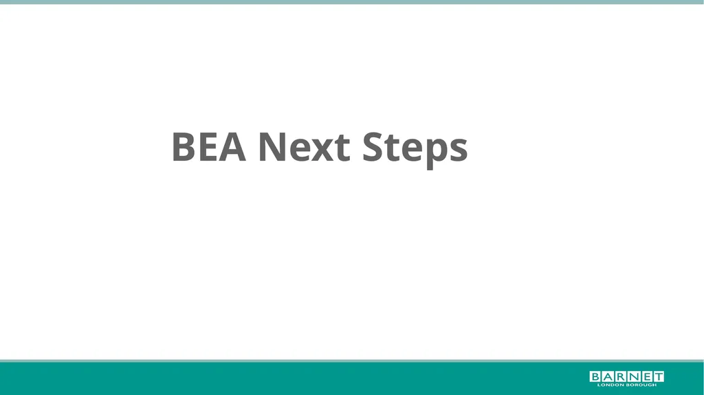 BLM workshop feedback; further steps for the - slide 13 of 17