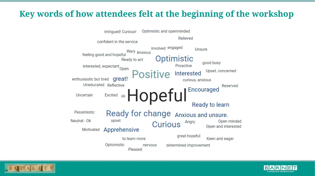 BLM workshop feedback; further steps for the - slide 2 of 17