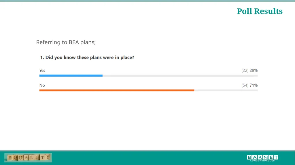 BLM workshop feedback; further steps for the - slide 4 of 17