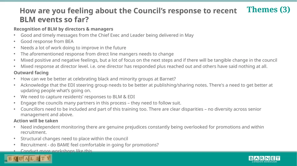 BLM workshop feedback; further steps for the - slide 9 of 17