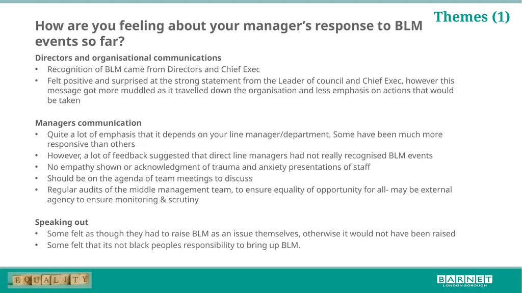 BLM workshop feedback; further steps for the - slide 7 of 17