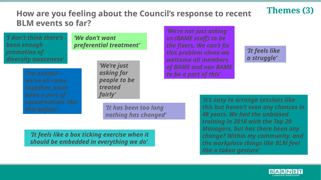 BLM workshop feedback; further steps for the - slide 10 of 17