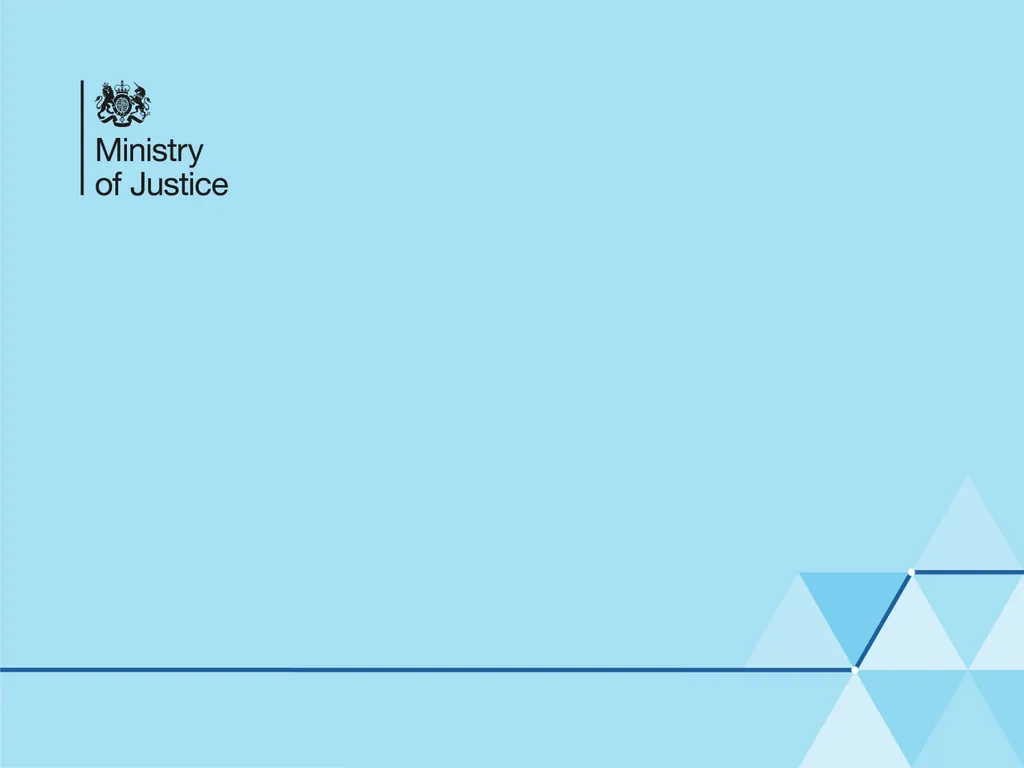 COVID-19 Specialist Advice Service Scheme (CSASS) - slide 17 of 17