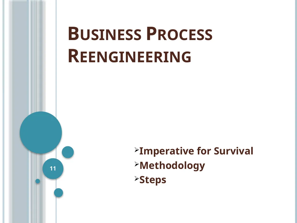 Business Process Reengineering Business Process - slide 11 of 22