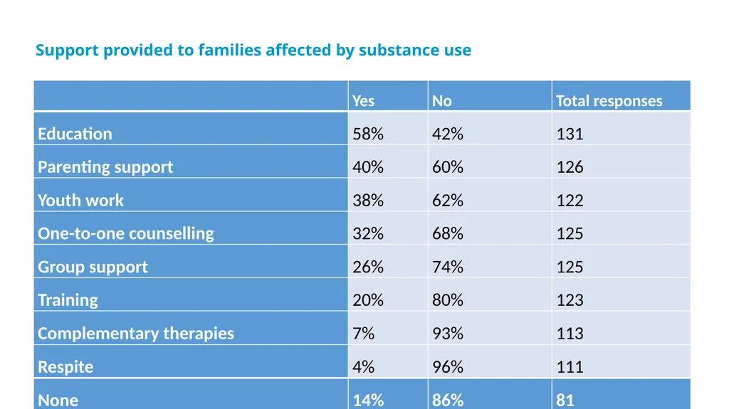 Drug & Alcohol Family Support Needs Analysis - slide 25 of 40