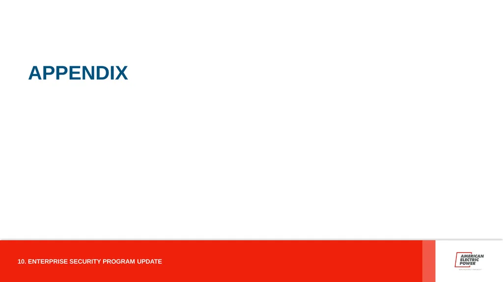 ENTERPRISE SECURITY PROGRAM AMERICAN ELECTRIC - slide 10 of 12
