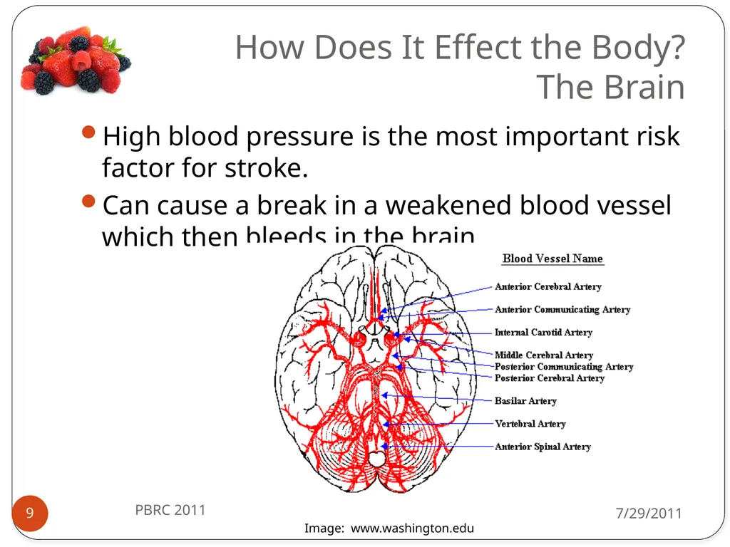 Heli J. Roy, PhD, MBA, RD Pennington Biomedical - slide 9 of 50