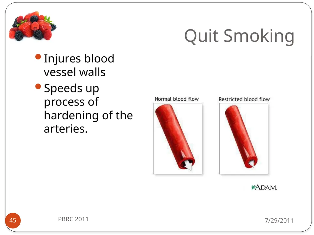 Heli J. Roy, PhD, MBA, RD Pennington Biomedical - slide 45 of 50