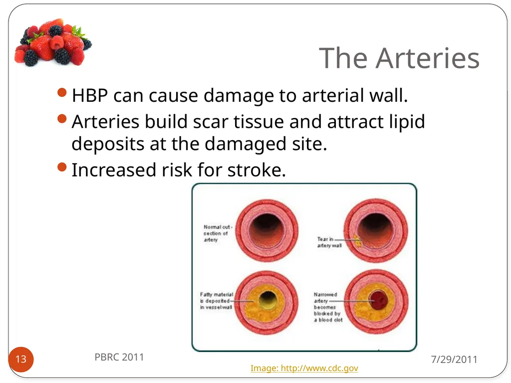 Heli J. Roy, PhD, MBA, RD Pennington Biomedical - slide 13 of 50