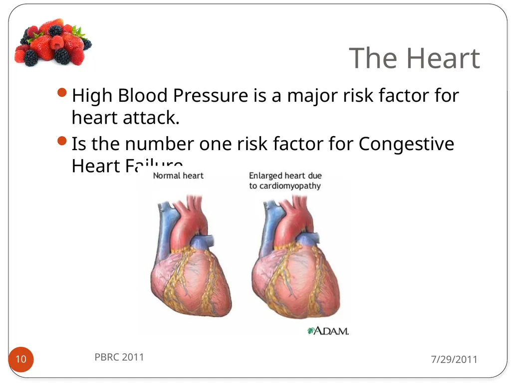 Heli J. Roy, PhD, MBA, RD Pennington Biomedical - slide 10 of 50