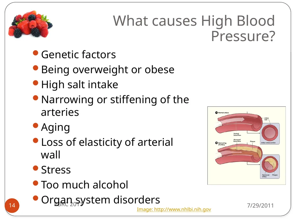 Heli J. Roy, PhD, MBA, RD Pennington Biomedical - slide 14 of 50