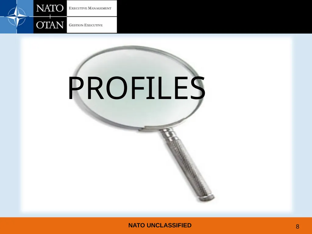 UNDERSTANDING AND PREPARING FOR EMPLOYMENT AT NATO - slide 7 of 39