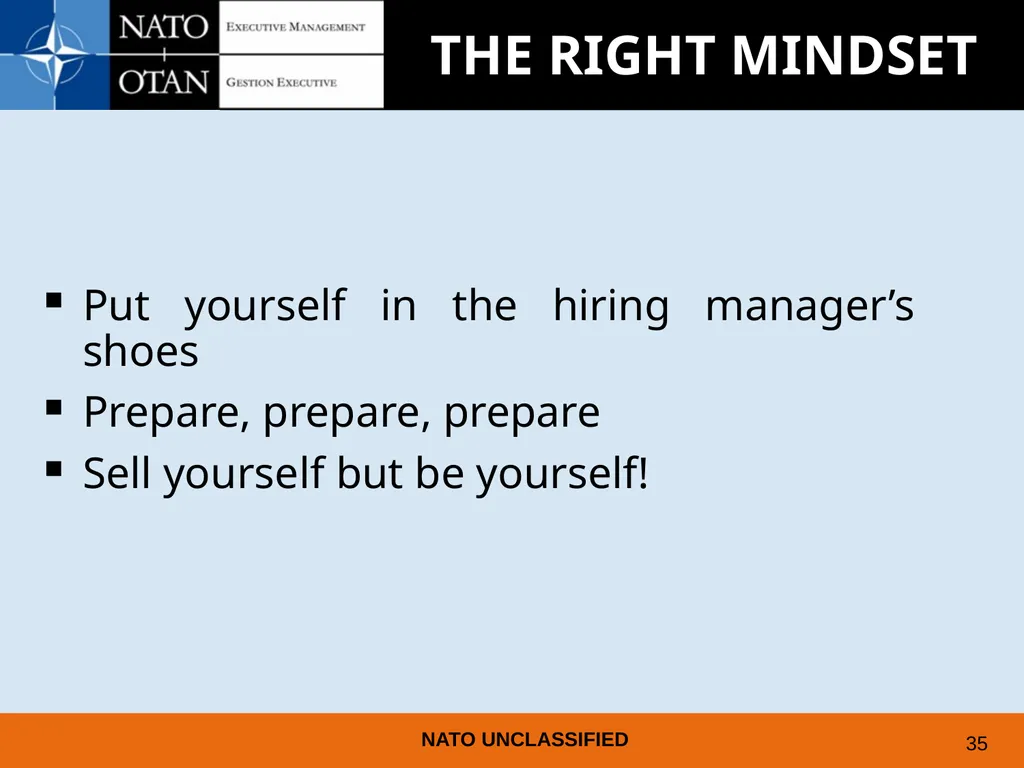 UNDERSTANDING AND PREPARING FOR EMPLOYMENT AT NATO - slide 31 of 39