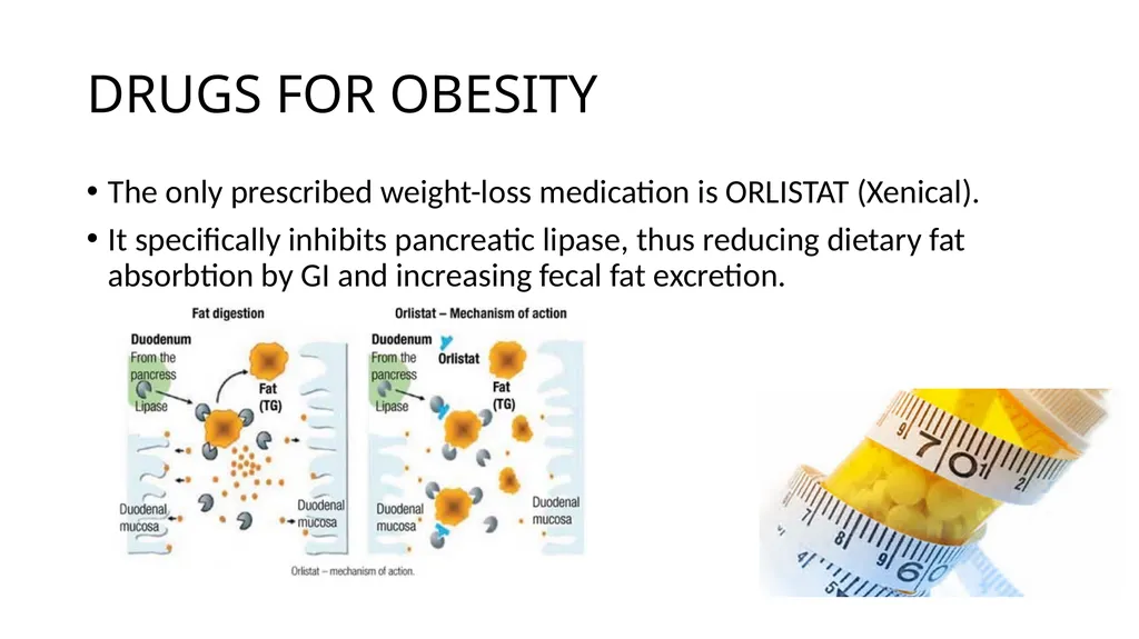 Treatment of obesity Maria Del Ben Department of - slide 17 of 20