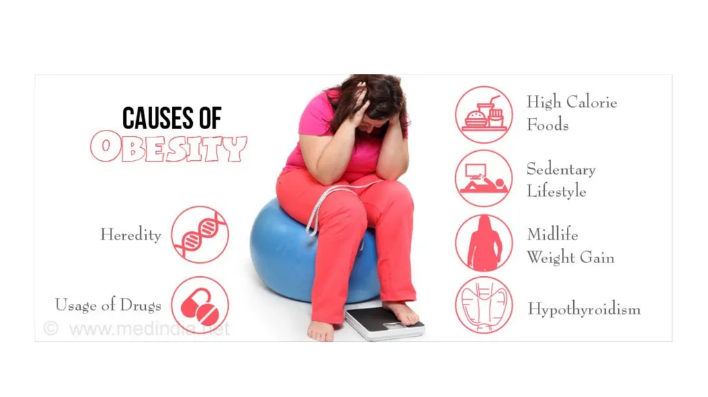 Treatment of obesity Maria Del Ben Department of - slide 3 of 20