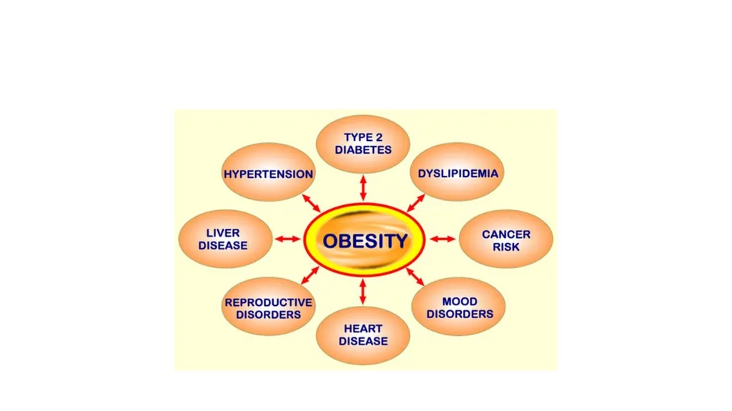 Treatment of obesity Maria Del Ben Department of - slide 4 of 20