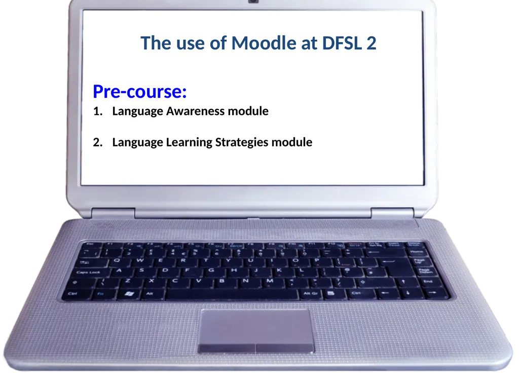 Enhanced LOTE Learning through the use of DFSL - slide 7 of 14