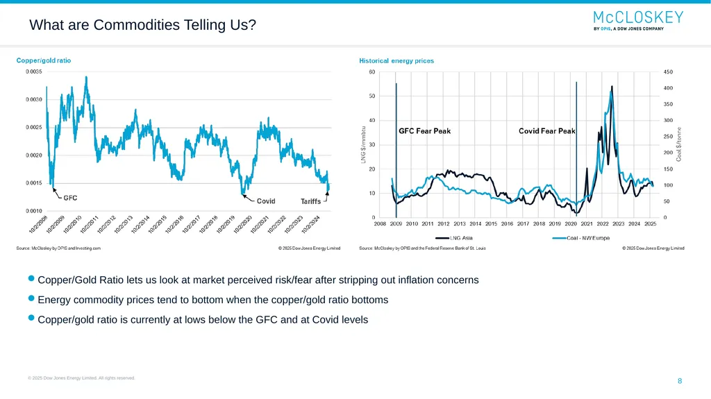 ACCCI Presentation: A New US Administration and - slide 8 of 14