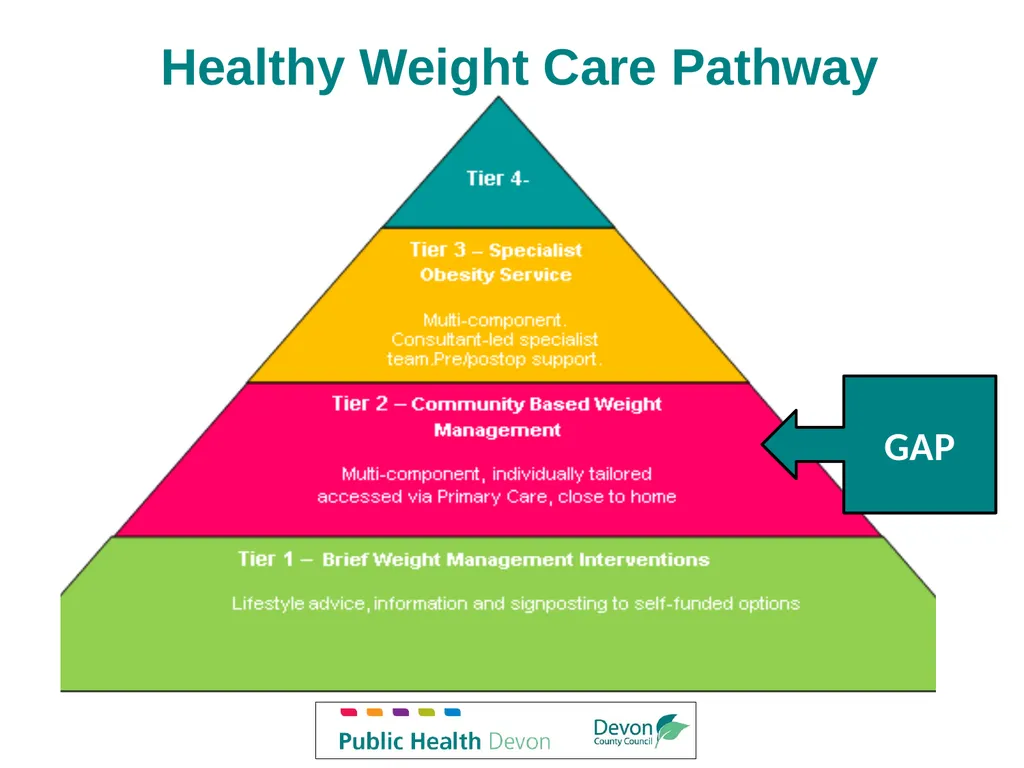 Service Description Devon Tier 2 Weight Management - slide 4 of 18