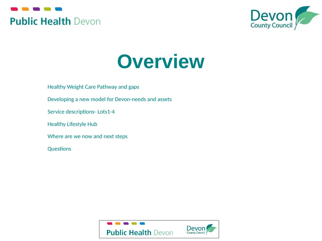 Service Description Devon Tier 2 Weight Management - slide 2 of 18