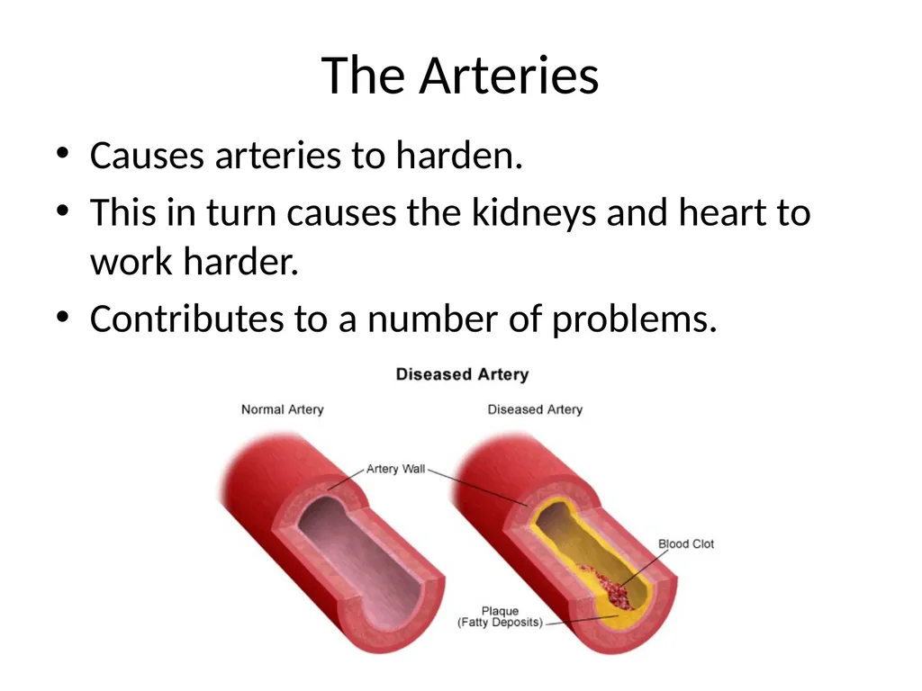Diet and Hypertension What is Blood Pressure? The - slide 11 of 25