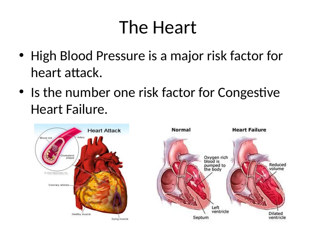 Diet and Hypertension What is Blood Pressure? The - slide 8 of 25