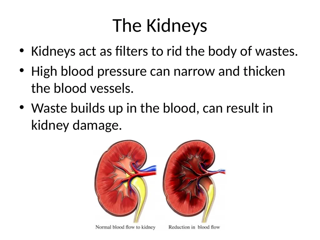 Diet and Hypertension What is Blood Pressure? The - slide 9 of 25