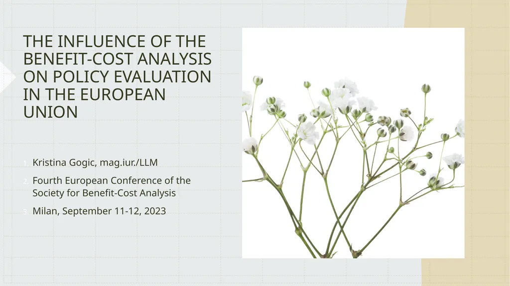 THE INFLUENCE OF THE BENEFIT-COST ANALYSIS ON