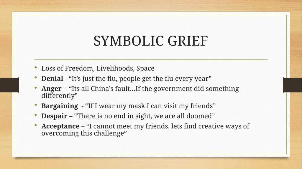 Mental Health Implications of the Covid-19 - slide 12 of 14