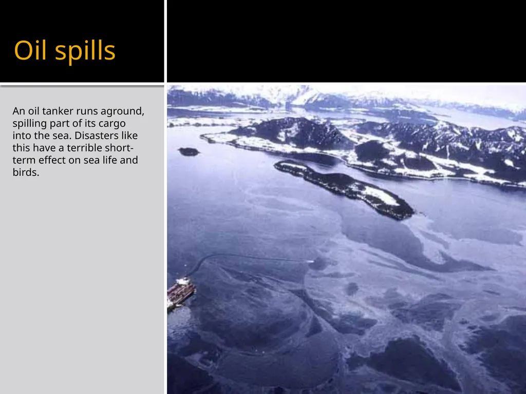 Man – made disasters Some environmental disasters - slide 18 of 24