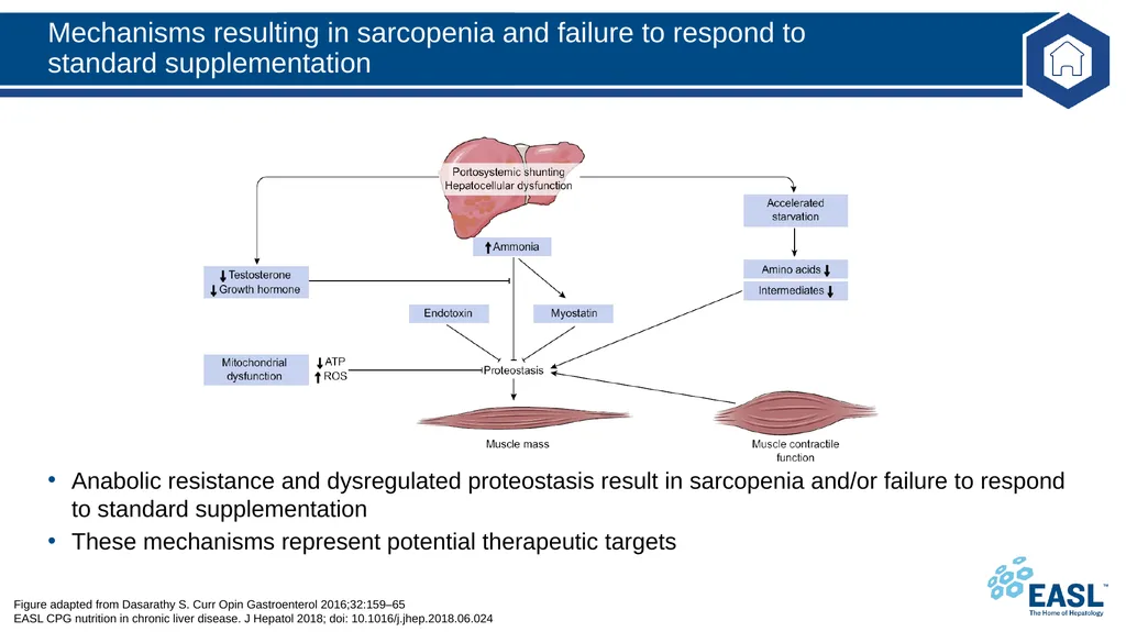 Nutrition in chronic liver disease Clinical - slide 25 of 49