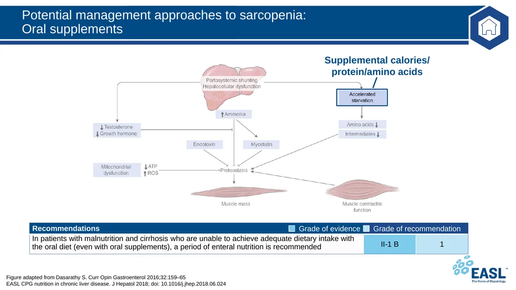 Nutrition in chronic liver disease Clinical - slide 27 of 49