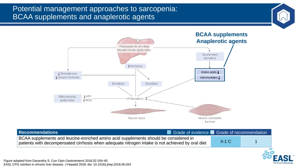 Nutrition in chronic liver disease Clinical - slide 28 of 49
