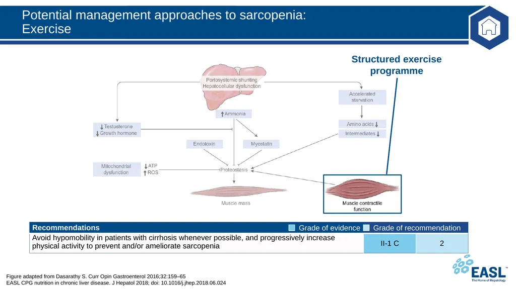 Nutrition in chronic liver disease Clinical - slide 29 of 49