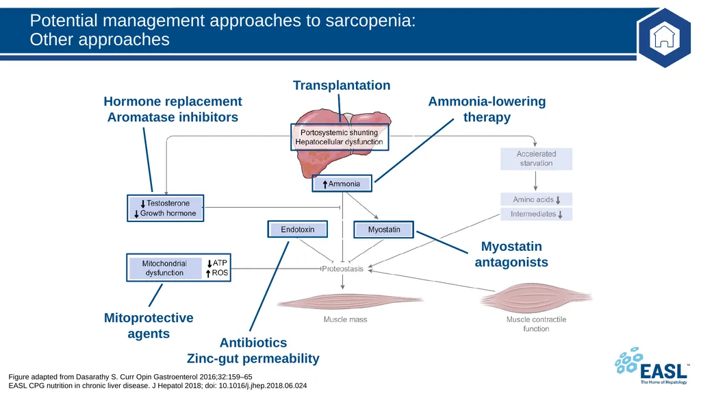 Nutrition in chronic liver disease Clinical - slide 30 of 49