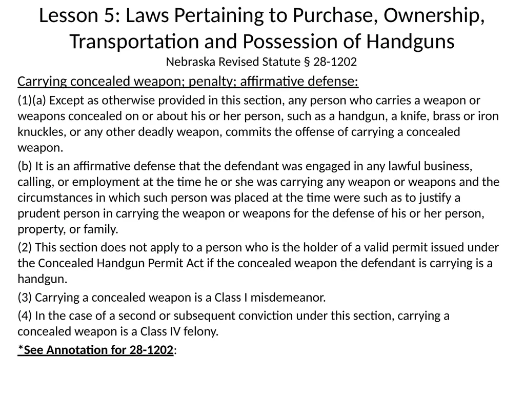 Nebraska State Patrol Concealed Handgun Permit - slide 86 of 173