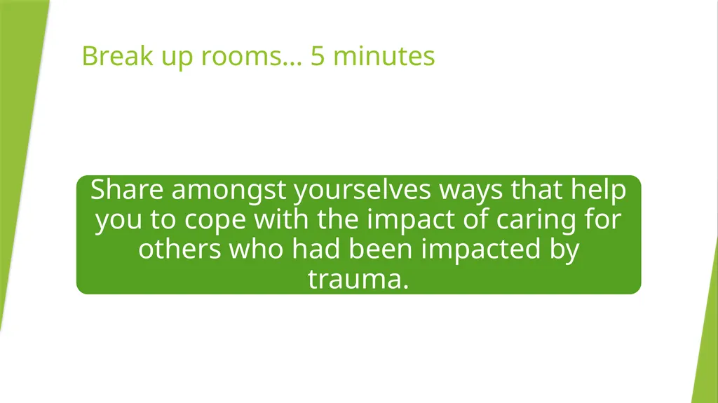 Understanding Vicarious Trauma, Coping strategies - slide 12 of 20