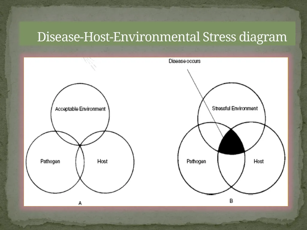 Presented by:- Mr. Bhartendu vimal Guest - slide 17 of 24
